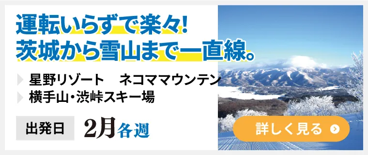 運転いらずで楽々！茨城から雪山まで一直線　星野リゾート　ネコママウンテン　横手山・渋峠スキー場。出発日2月各週