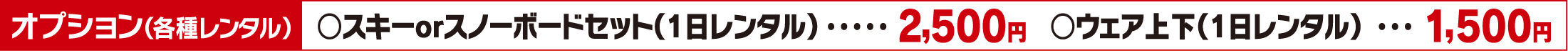 オプション（各種レンタル）○スキーorスノーボードセット（1日レンタル）2,500円○ウェア上下（1日レンタル）1,500円