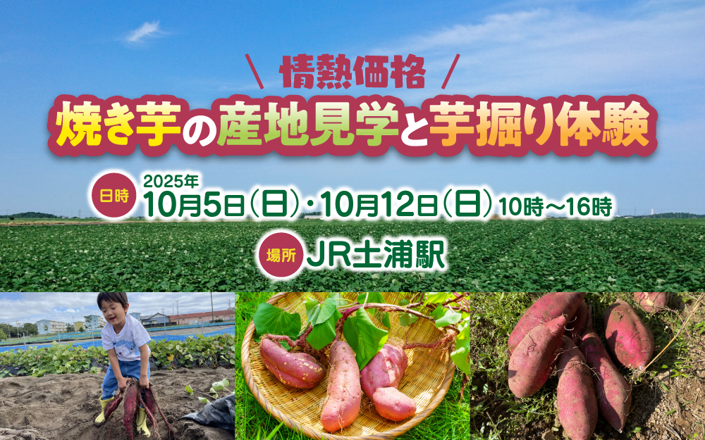 『情熱価格』焼き芋の産地見学と芋掘り体験