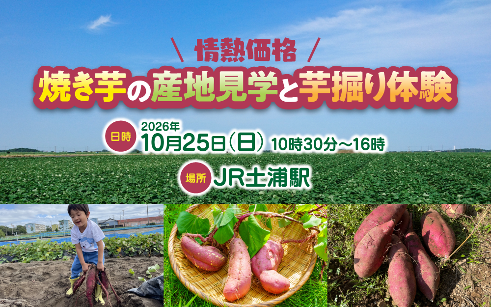 『情熱価格』焼き芋の産地見学と芋掘り体験