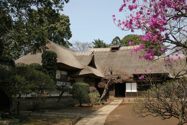 坂野家住宅の茅葺の主屋